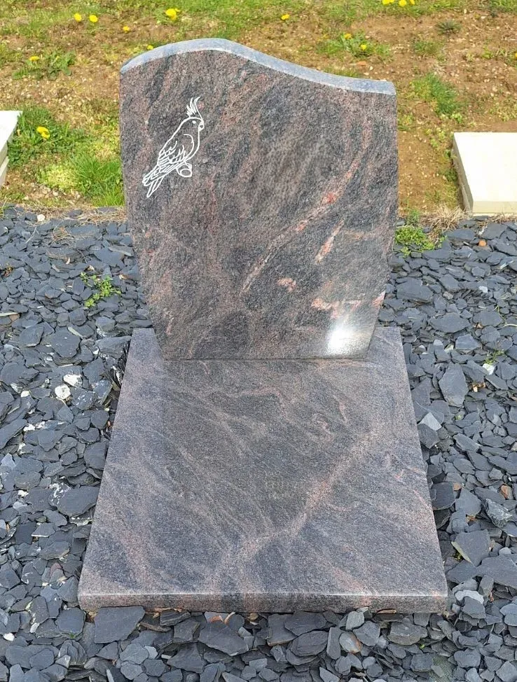 Monument funéraire bicolore en granit avec pot de fleurs vertes.